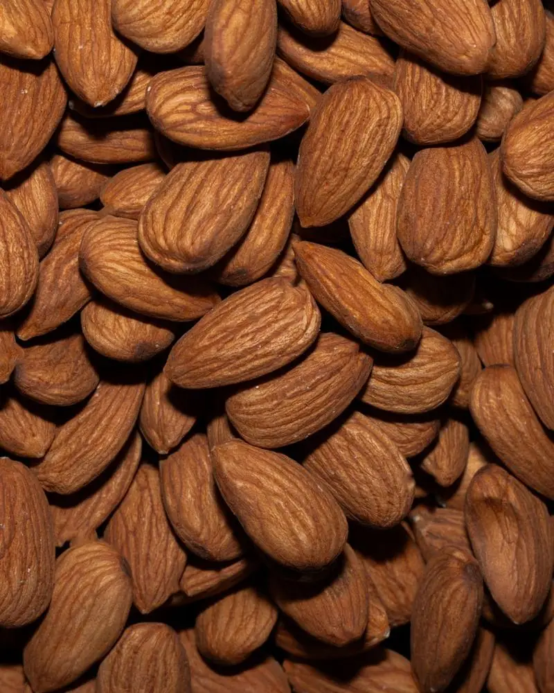 Whole almonds in close-up