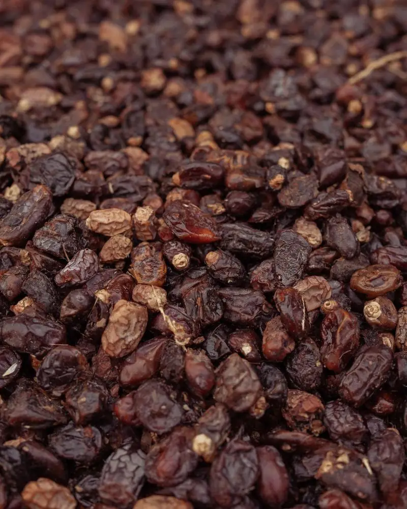 Dark raisins in close-up