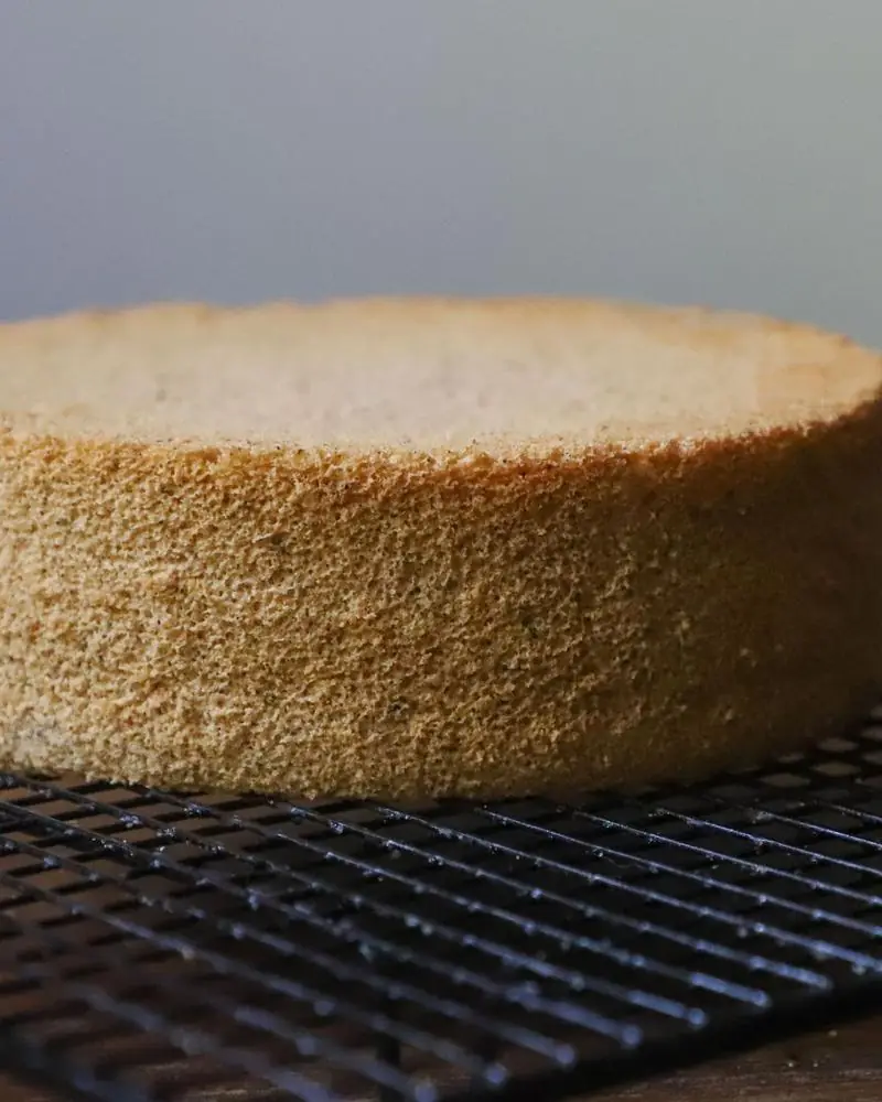 A plain undecorated sponge cake cooling on a rack